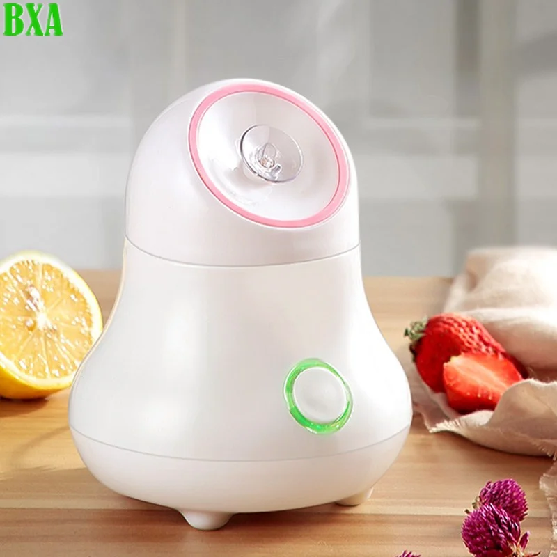 Facial Steamer Nano - Parowiec do twarzy z owocami i